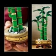 thumbnail image 5 of LEGO Botanicals Lucky Bamboo Building Set for Adults, 325 pc., 5 of 6