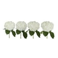 thumbnail image 6 of Member's Mark Premium Hydrangea, White, 30 stems, 6 of 6
