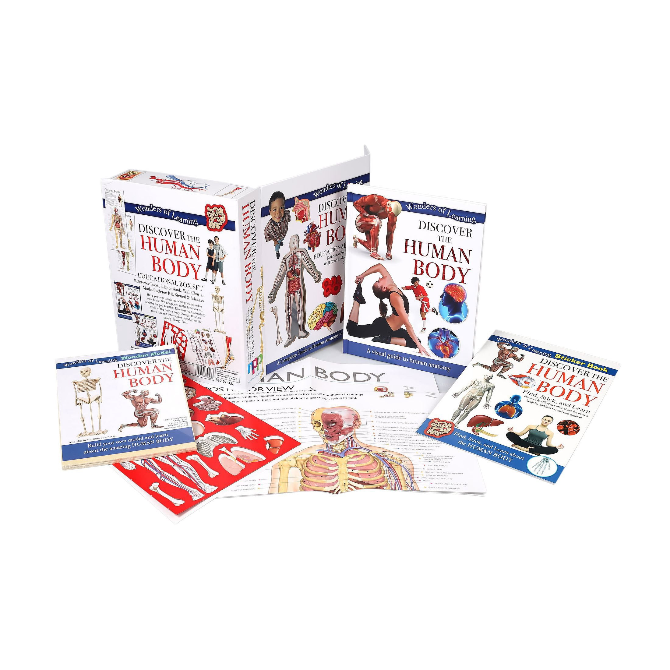 Discover the Human Body by Wonders of Learning, Hardcover