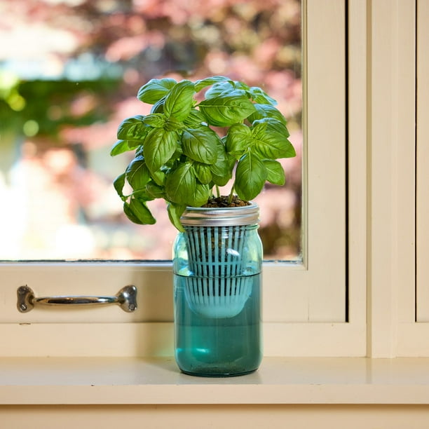 Modern Sprout's Organic Herb Garden Grow Kit, 2pk - Samsclub.com
