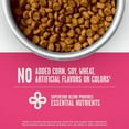 thumbnail image 5 of Member's Mark™ Sensitive Stomach Small Breed Chicken + Oatmeal Recipe Dry Dog Food, 25lbs., 5 of 6