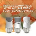 thumbnail image 5 of Air Wick Scented Oil Air Freshener Refills, Pumpkin Spice, 9 ct., 5 of 11