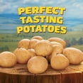 thumbnail image 7 of Ore-Ida Crispy Hash Brown Patties, Shredded Potatoes, Frozen, 5 lb., 7 of 8