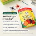 thumbnail image 2 of BeeKeeper's Naturals Kid's Propolis Throat Soothing Pops, 30 ct., 2 of 6