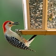 thumbnail image 10 of Harvest Seed & Supply Birder's Medley Wild Bird Food, Premium Mix of Bird Seed, 20 lbs., 10 of 10