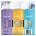 thumbnail image 2 of Safeguard Ultimate Care Hand Wash, Variety Pack, 15.5 fl. oz., 3 pk., 2 of 8