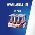 thumbnail image 10 of Red Bull Energy, 16 fl. oz., 12 pk., 10 of 11