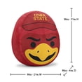 thumbnail image 5 of Logo Brands Iowa State Cyclones Puff Pillow, 5 of 5