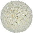 thumbnail image 1 of Member's Mark Carnations, Choose color and stem count, 1 of 7