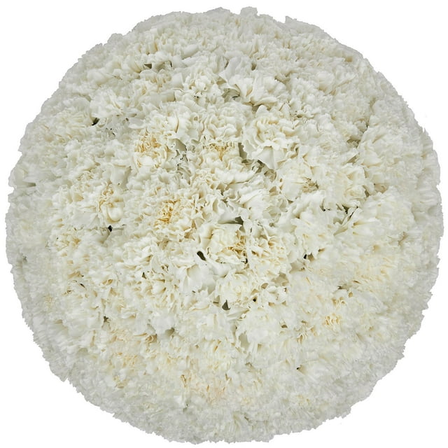 Member's Mark Carnations, Choose color and stem count