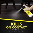 thumbnail image 8 of Raid® 3 Pack: Raid® Ant & Roach Killer 26 Outdoor Fresh 17.5oz, Raid® Wasp & Hornet Killer 33 17.5oz, Raid ® Multi Insect Killer 7 15oz, 8 of 8