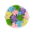 thumbnail image 1 of Member's Mark Pastel Pom Bunch, 12 stems, 1 of 4