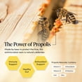 thumbnail image 3 of Beekeepers Naturals Propolis Immune Spray with Vitamin C, 3 of 7