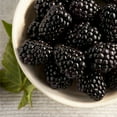 thumbnail image 3 of Organic Blackberries, 12 oz., 3 of 5