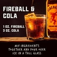 thumbnail image 4 of Fireball Cinnamon Whiskey 1.75 L, 4 of 7