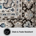 thumbnail image 4 of Home Dynamix Premium Sakarya Traditional Medallion Area Rug, Various Sizes, Assorted Sizes and Designs, 4 of 10
