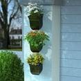 thumbnail image 5 of Mayne Valencia 8" Wall Mount Planter, Set of 3, 5 of 10
