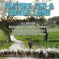 thumbnail image 4 of Member's Mark Australian Bone-In Lamb Loin Chops, priced per pound, 4 of 5