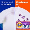 thumbnail image 5 of Tide Power PODS with Febreze Laundry Detergent Pacs, Spring & Renewal, 72 ct., 5 of 10
