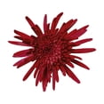 thumbnail image 4 of Member's Mark Painted Mums,  choose color and stem count, 4 of 6