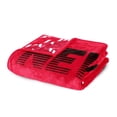 thumbnail image 4 of Logo Brands New Mexico Lobos 60"x70" Super Plush Blanket, 4 of 7