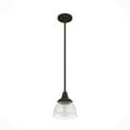 thumbnail image 8 of Hunter Cypress Grove with Clear Holophane Glass 1 Light Pendant Ceiling Light Fixture, 8 of 8