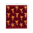 thumbnail image 2 of Licensed FIFA World Cup Silk Touch Throw, 60" x 70", 2 of 5