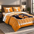 thumbnail image 4 of Logo Brands Tennessee Volunteers Bed-In-A-Bag Set, 4 of 4