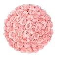 thumbnail image 1 of Member's Mark Ecuadorian Premium Roses, choose color variety and stem count, 1 of 6
