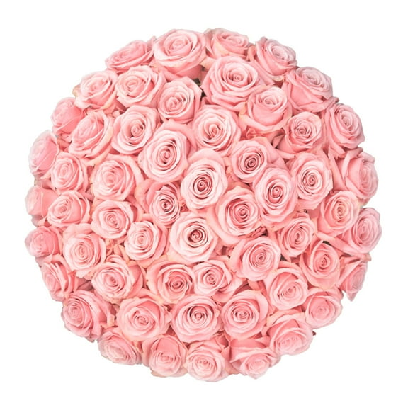 Member's Mark Ecuadorian Premium Roses, choose color variety and stem count