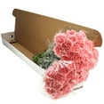 thumbnail image 4 of Member's Mark Carnations, Choose color and stem count, 4 of 7