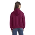 thumbnail image 2 of Levi's Girl's Fleece Hoodie, 2 of 8
