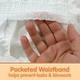 thumbnail image 4 of Member's Mark Premium Baby Diapers, Sizes Newborn - 7, 4 of 11