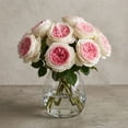thumbnail image 5 of Member's Mark Garden Roses, 36 stems, Choose color variety, 5 of 6