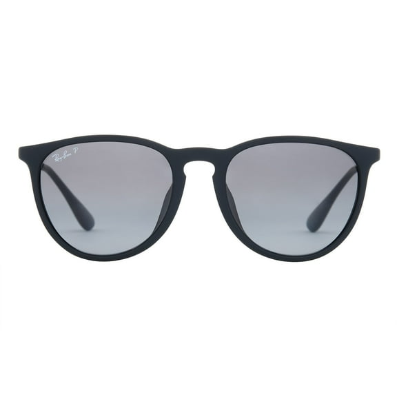 Ray Ban Erika Sunglasses