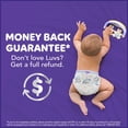 thumbnail image 12 of Luvs Pro Level Leak Protection Diapers, Sizes 1-8, 12 of 13