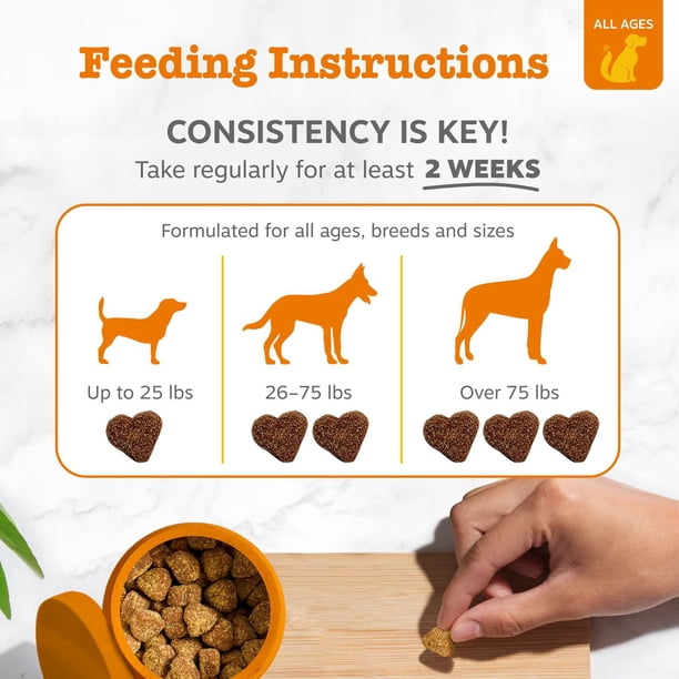 Zesty Paws Probiotic Bites, Pumpkin, 160 ct. - Samsclub.com