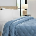 thumbnail interactive-video image 1 of Member's Mark Oversized Reversible Blanket, 1 of 5