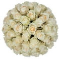 thumbnail image 1 of Member's Mark Roses, choose color variety and stem count, 1 of 7