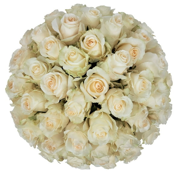 Member's Mark Roses, choose color variety and stem count