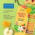thumbnail image 4 of Burt's Bees Garden Party Moisturizing Lip Balm Value Pack, 10 Tubes, 0.15 oz. ea., 4 of 11