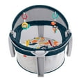 thumbnail image 1 of Fisher-Price On-the-Go Baby Dome with 2 Colorful Toys, Unisex, 1 of 15