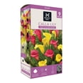 thumbnail image 1 of Member's Mark Calla Lily Pink & Yellow Blend Dormant Bulbs, 9pk, 1 of 3