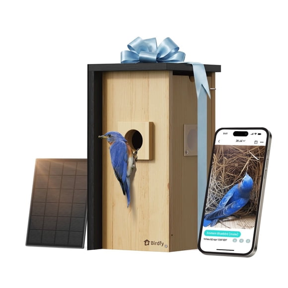 Birdfy Solar Powered Nest Smart Bird House with Camera