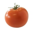 thumbnail image 1 of Kamuela Tomato (2 lbs.), 1 of 4