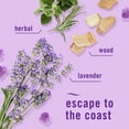 thumbnail image 7 of Febreze Plug Air Freshener, Mediterranean Lavender + Linen & Sky, 5 refills, 4.35 fl. oz., 7 of 10