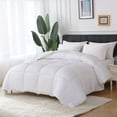 thumbnail image 1 of St. James Home Bamboo Down Alternative Comforter, 1 of 5