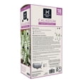 thumbnail image 2 of Member's Mark White Christmas Caladium Dormant Bulbs, 18pk, 2 of 9