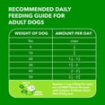 thumbnail image 3 of IAMS Proactive Health Minichunks Chicken Recipe Adult Dry Dog Food, Multi-sizes, 3 of 4