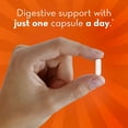 thumbnail image 5 of Align Probiotic Digestive Health Supplement Capsules, 84 ct., 5 of 9